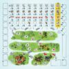 Imperial Settlers Roll & Write - Afbeelding 3